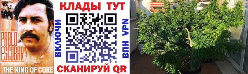 Где продают наркотики Серафимович Гашиш  Амфетамин  Alpha PVP  Лсд 25  МАРИХУАНА  МЕФ  МДМА 