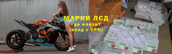 хмурый Абаза