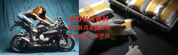 хмурый Абаза