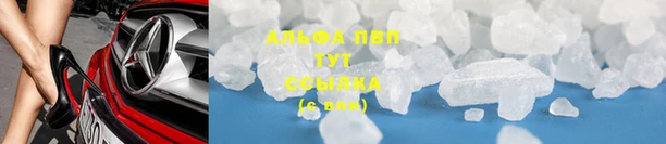 apvp Алзамай