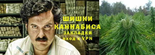 хмурый Абаза