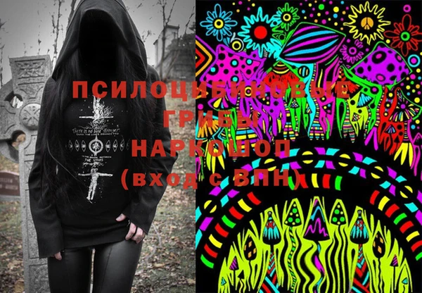 ешки Абинск