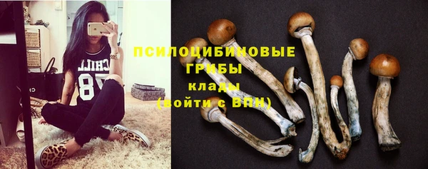 ешки Абинск