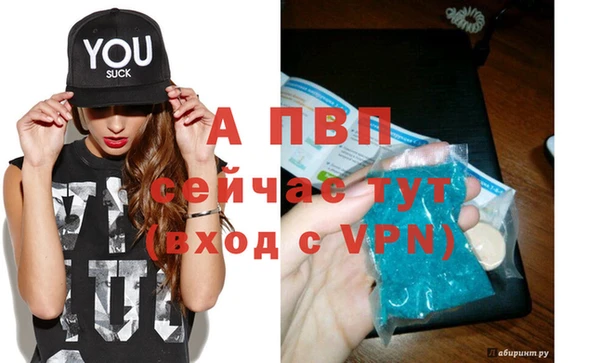 хмурый Абаза