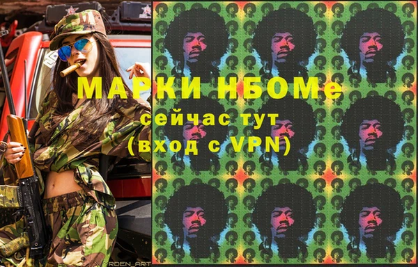 хмурый Абаза